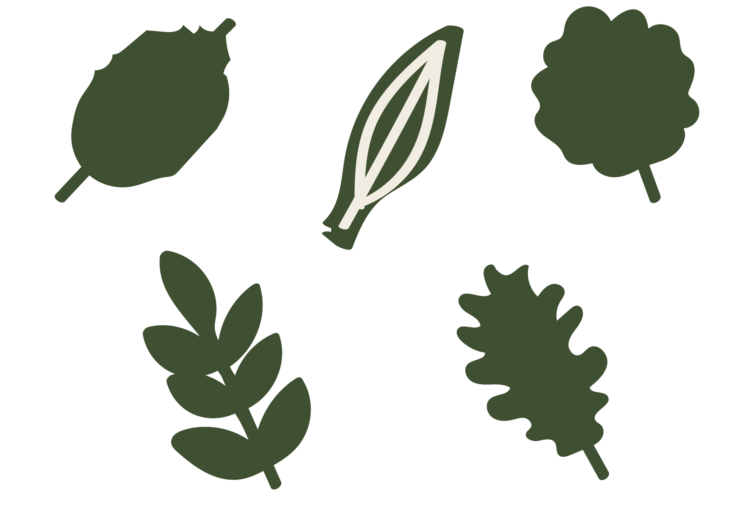 wbt icons 08